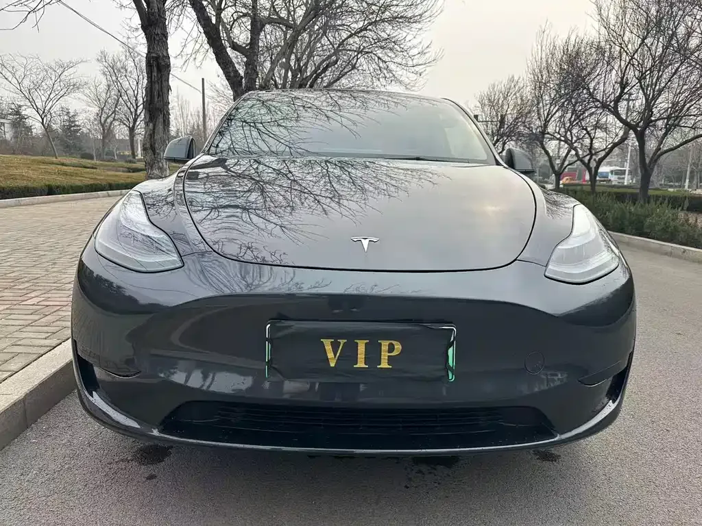 Tesla Model Y — фото 4
