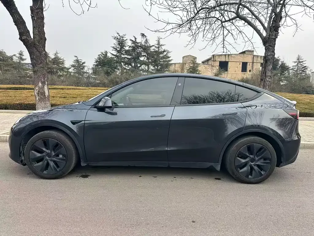 Tesla Model Y — фото 2