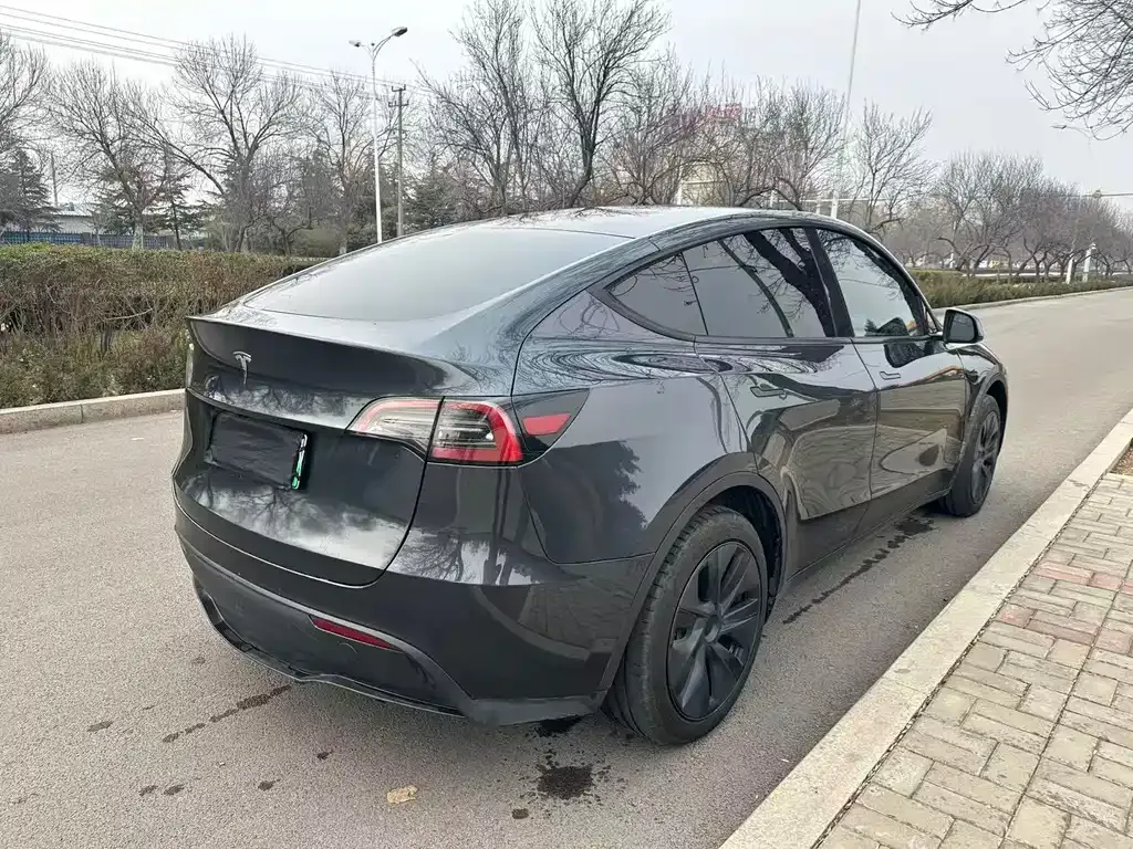 Tesla Model Y — фото 5