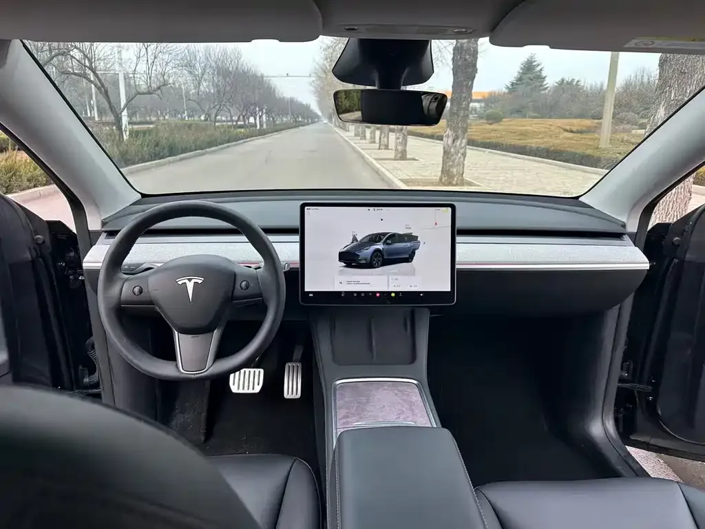 Tesla Model Y — фото 6