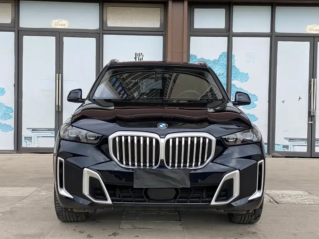 BMW X5 2025 из CN, фото 3