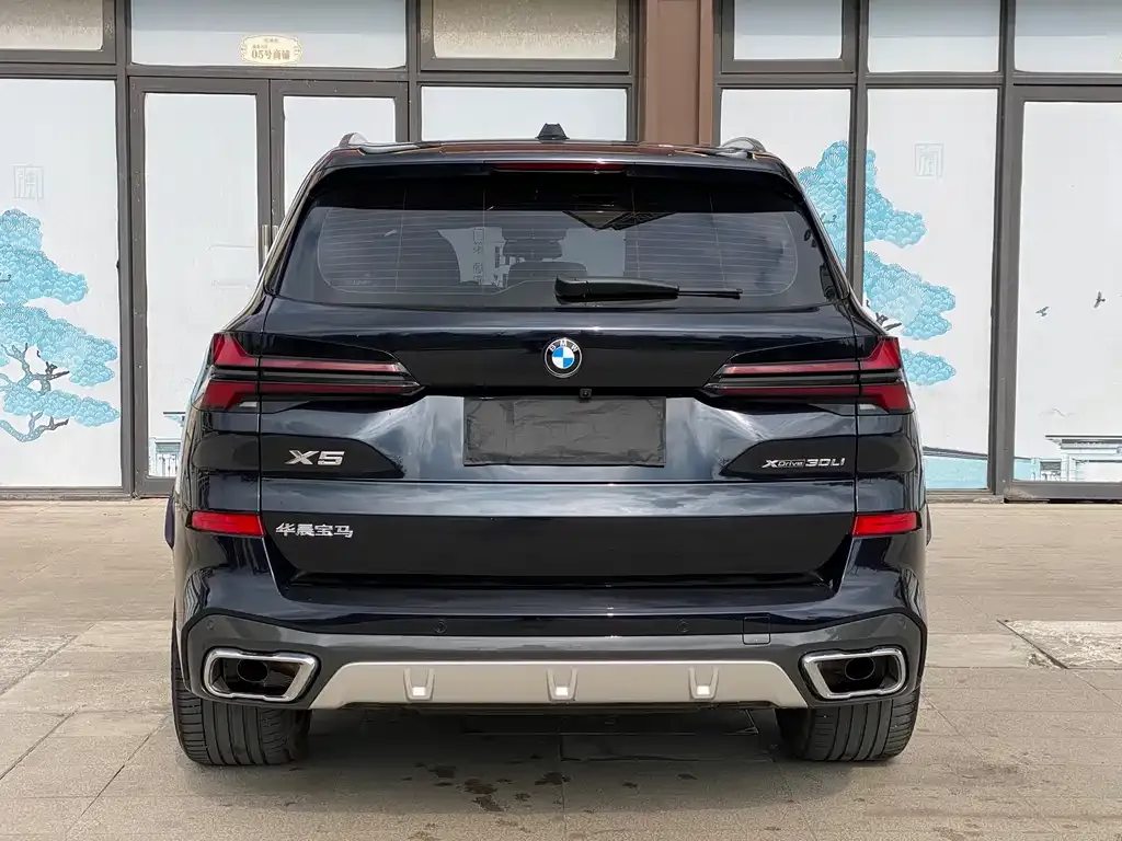 BMW X5 2025 из CN, фото 4