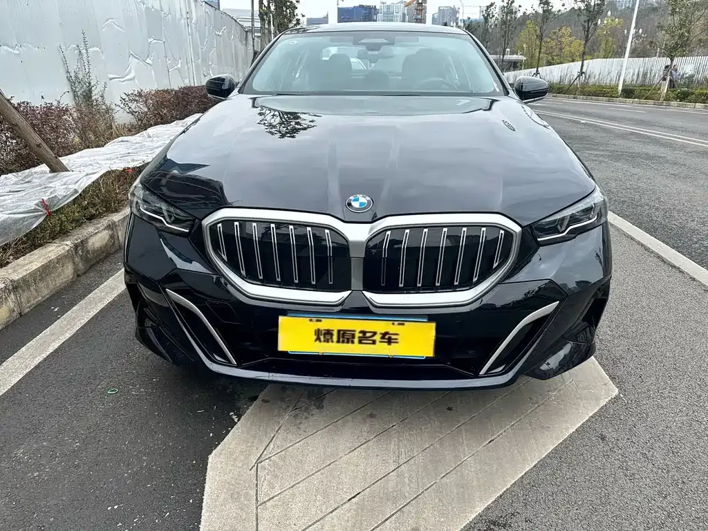 BMW 5 Series 2025 из CN, фото 4