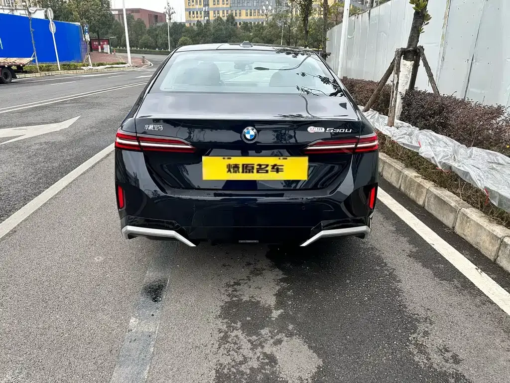 BMW 5 Series 2025 из CN, фото 9