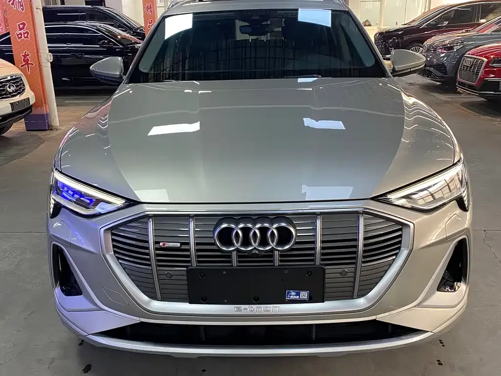 Audi e-tron 2022 из CN, фото 8
