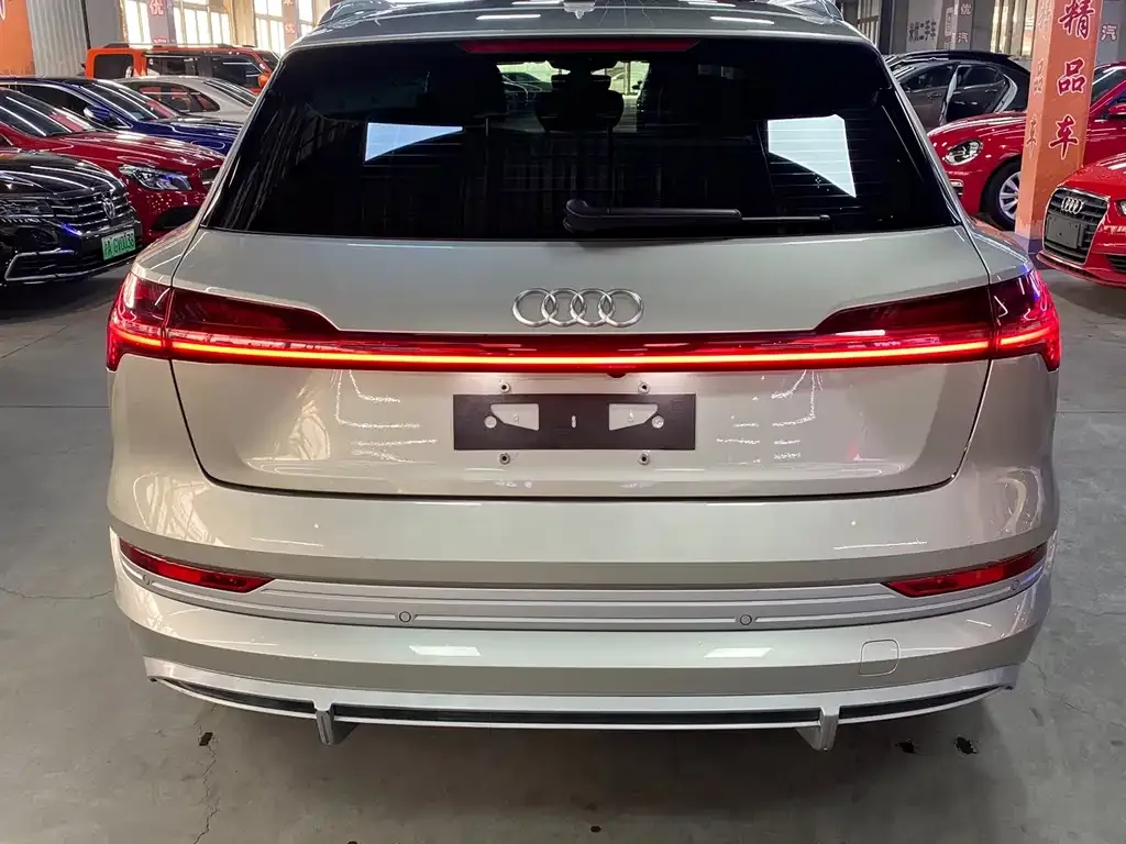 Audi e-tron 2022 из CN, фото 4