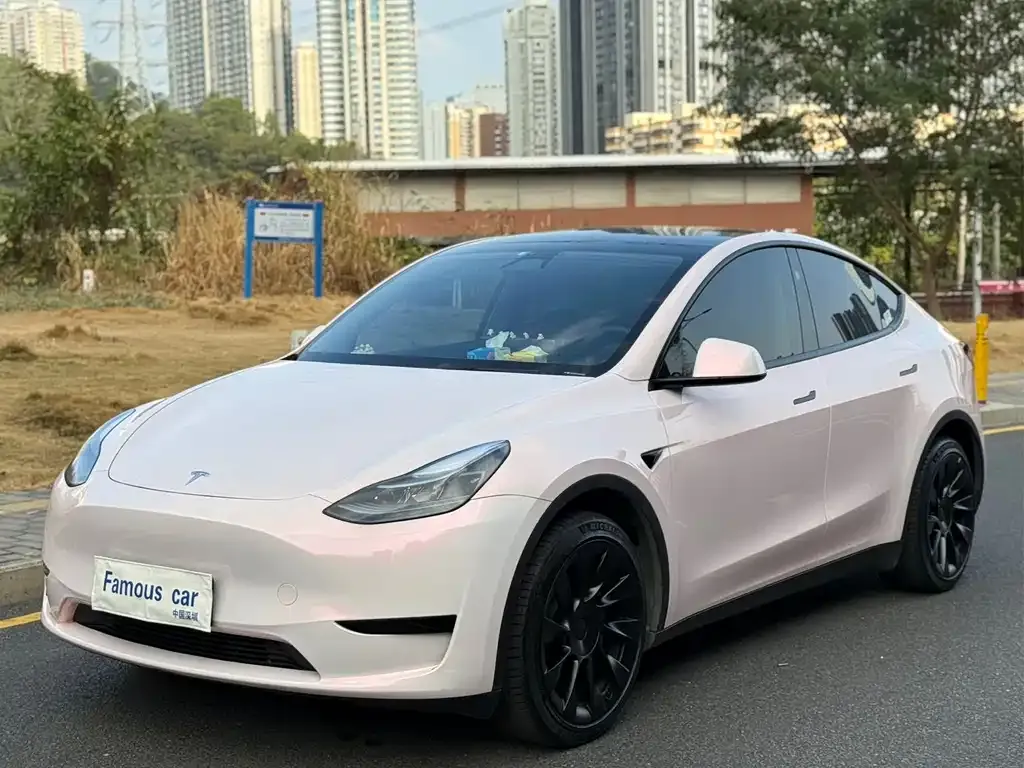Tesla Model Y — фото 1