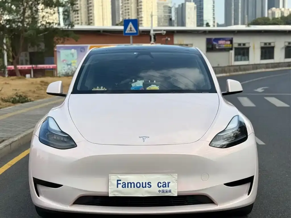 Tesla Model Y — фото 9