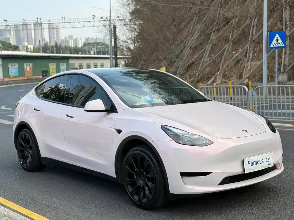 Tesla Model Y — фото 5