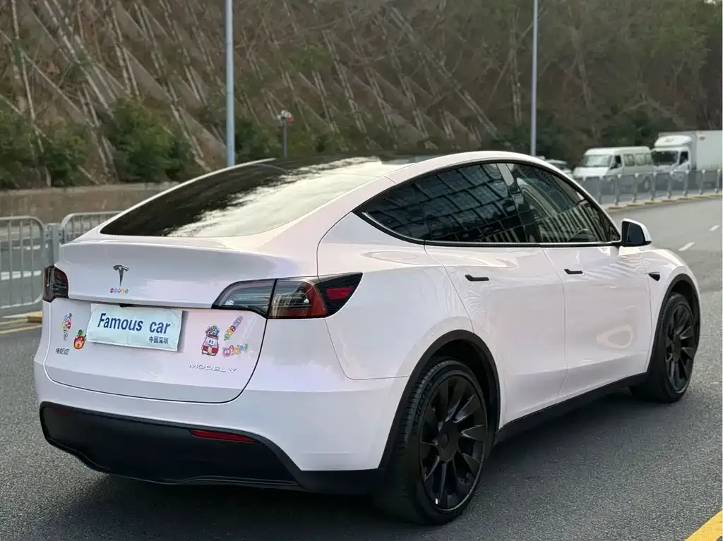 Tesla Model Y — фото 7