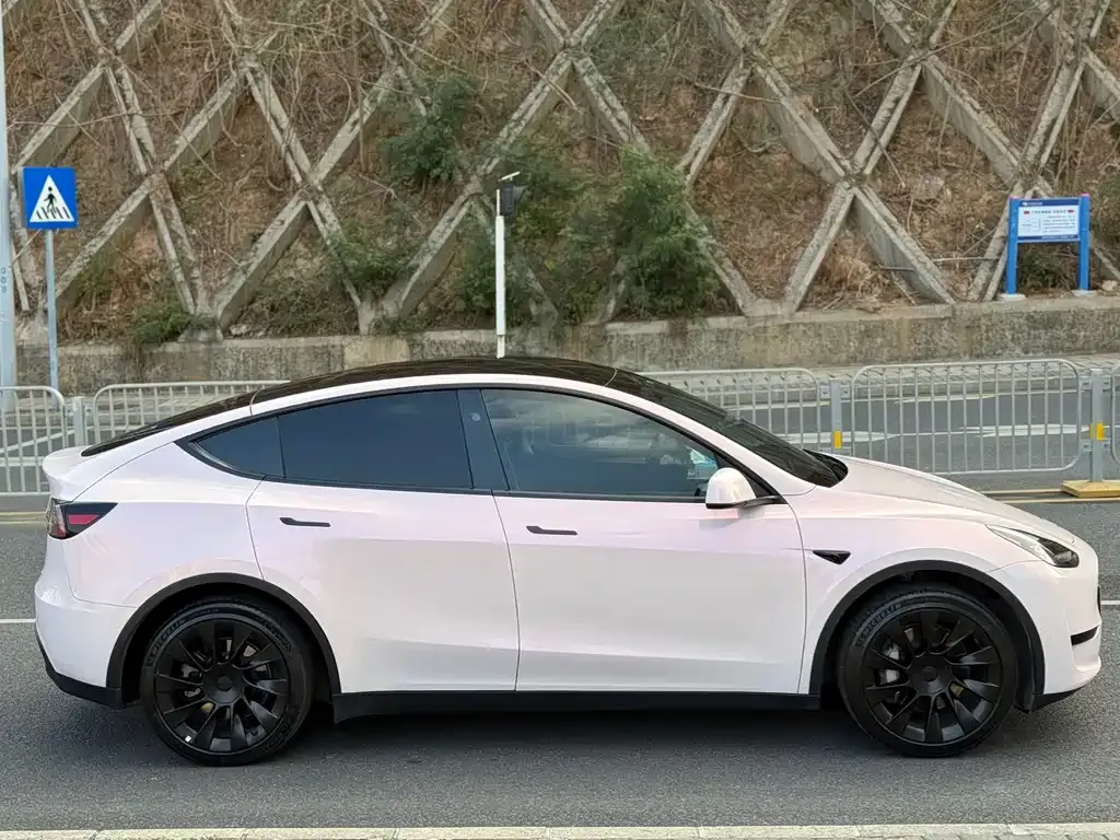 Tesla Model Y — фото 10