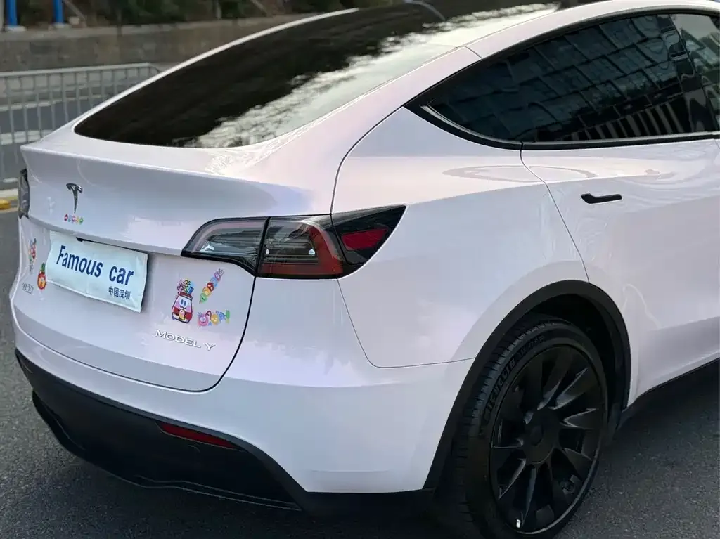 Tesla Model Y — фото 3