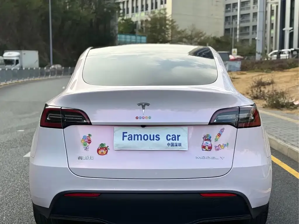 Tesla Model Y — фото 8