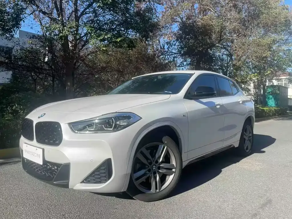 BMW X2 2024 из CN, фото 1