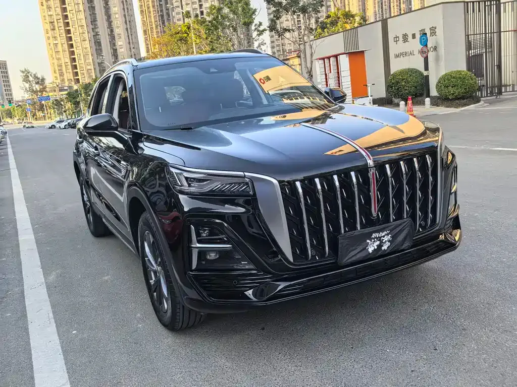 Hongqi HS5 2025 из CN, фото 9