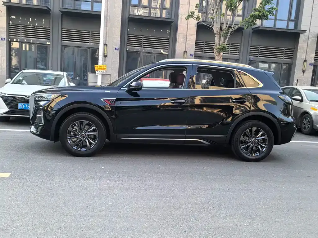 Hongqi HS5 2025 из CN, фото 6