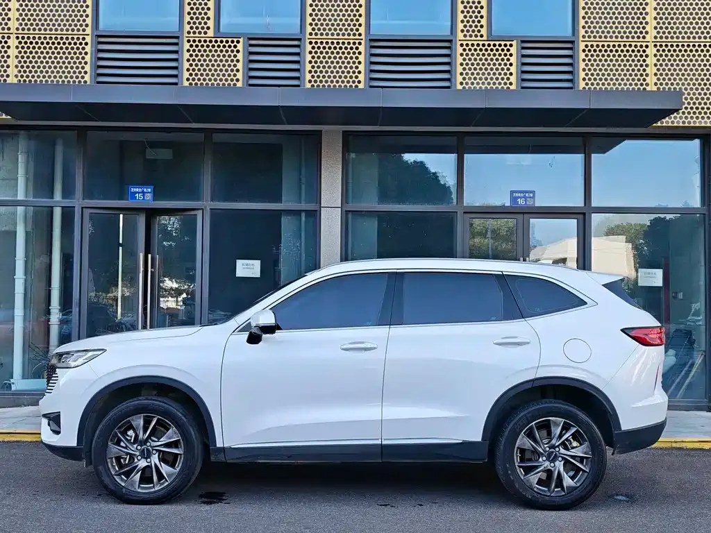 Haval H6 New Energy 2022 из CN, фото 4