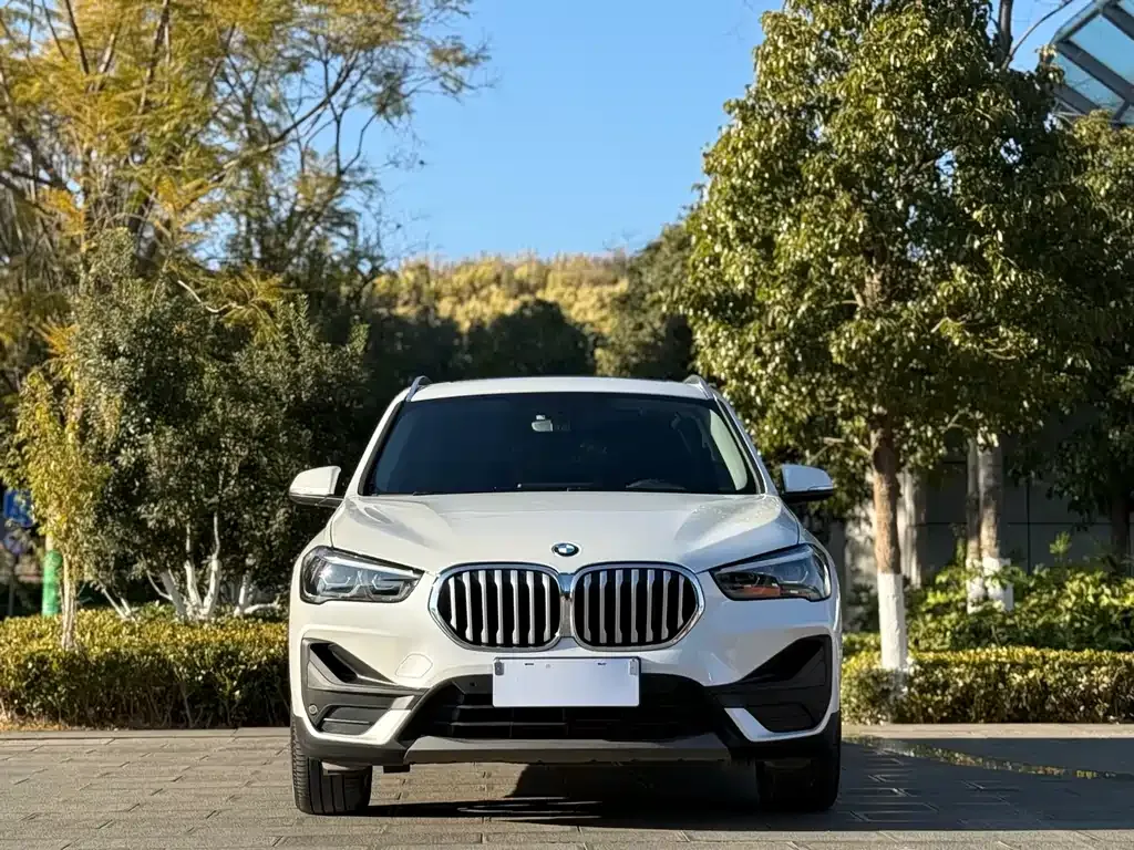 BMW X1 2021 из CN, фото 6
