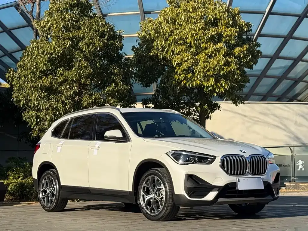 BMW X1 2021 из CN, фото 9