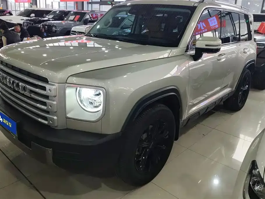 Haval Menglong New Energy 2024 из CN, фото 1