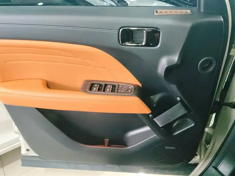 Haval Menglong New Energy 2024 из CN, фото 6
