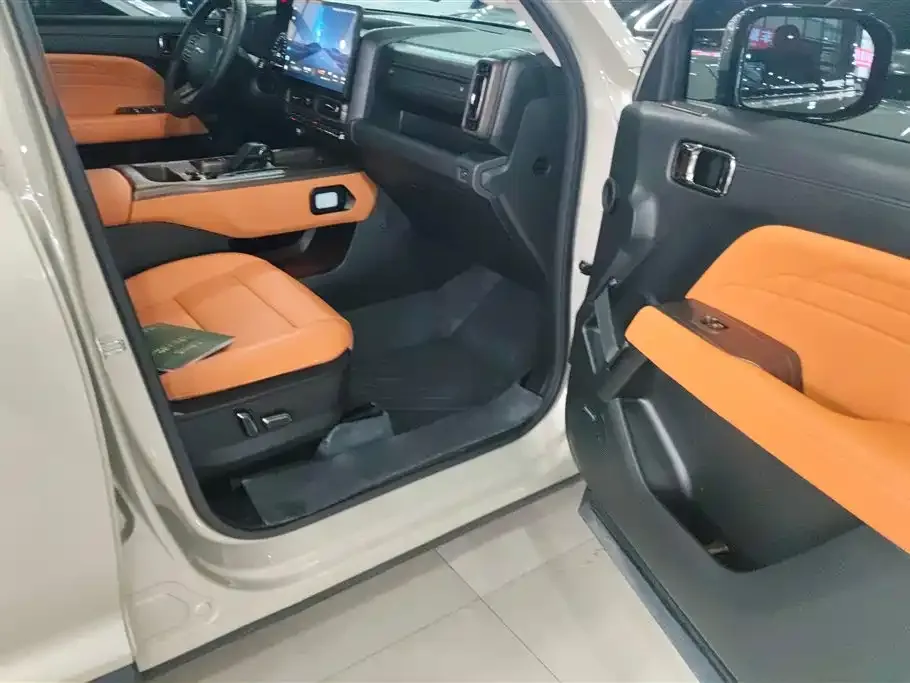 Haval Menglong New Energy 2024 из CN, фото 5