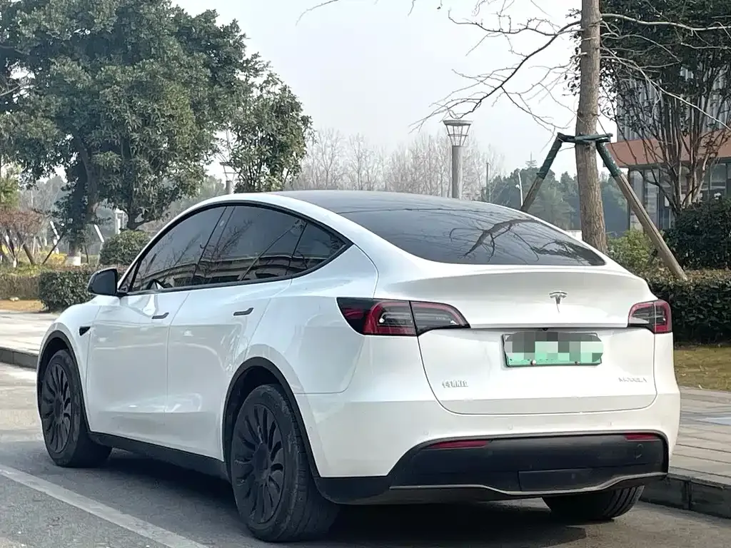 Tesla Model Y 2023 из CN, фото 9
