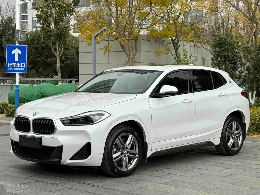 BMW X2 2022 из CN, фото 1