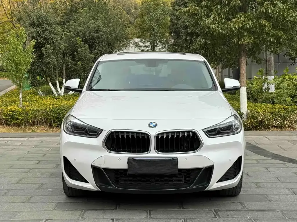 BMW X2 2022 из CN, фото 10