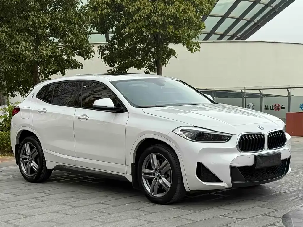 BMW X2 2022 из CN, фото 8