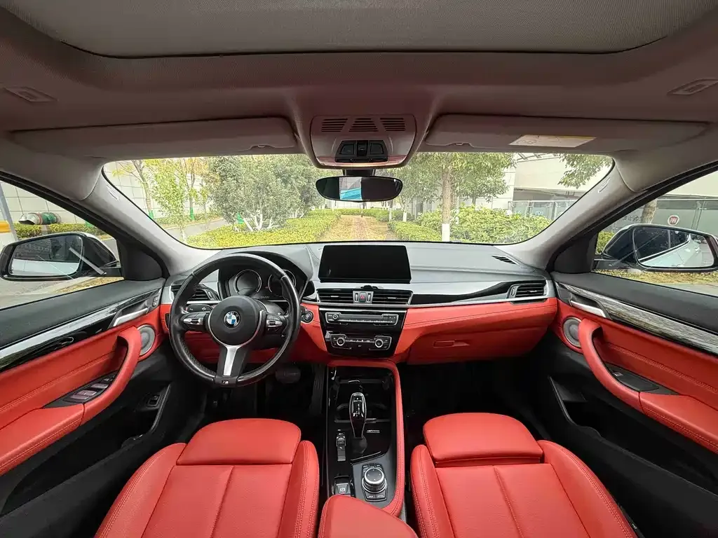 BMW X2 2022 из CN, фото 4