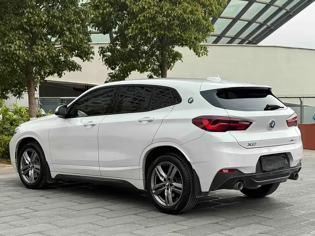 BMW X2 2022 из CN, фото 2