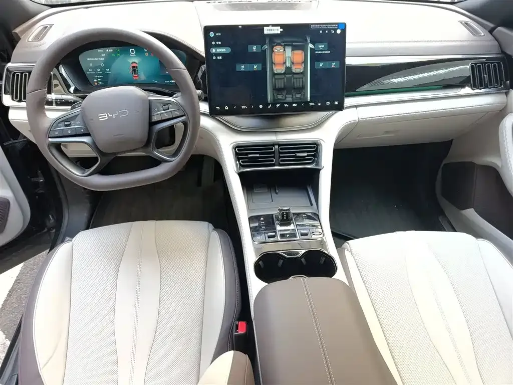BYD PLUS New Energy — фото 10