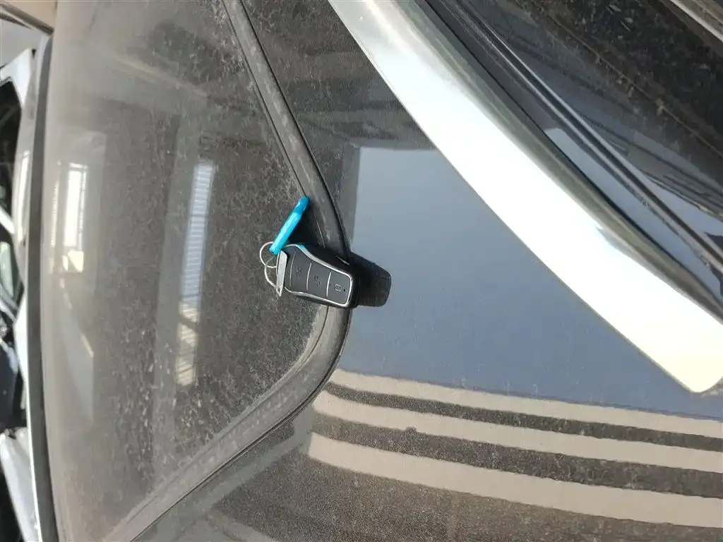 BYD PLUS New Energy — фото 4