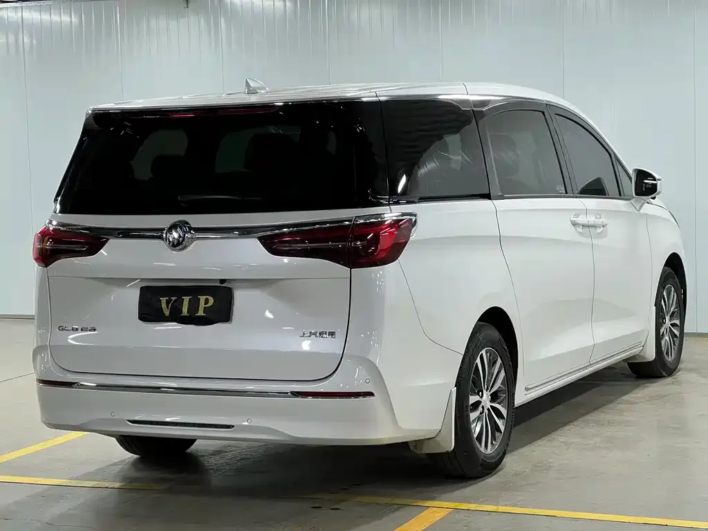 Buick GL8 2024 из CN, фото 4