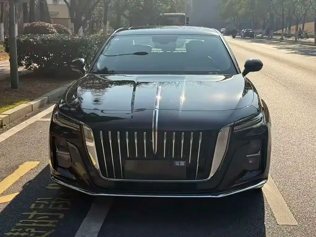 Hongqi H5 2023 из CN, фото 4