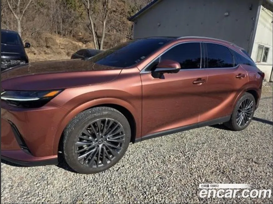 Lexus RX — фото 10