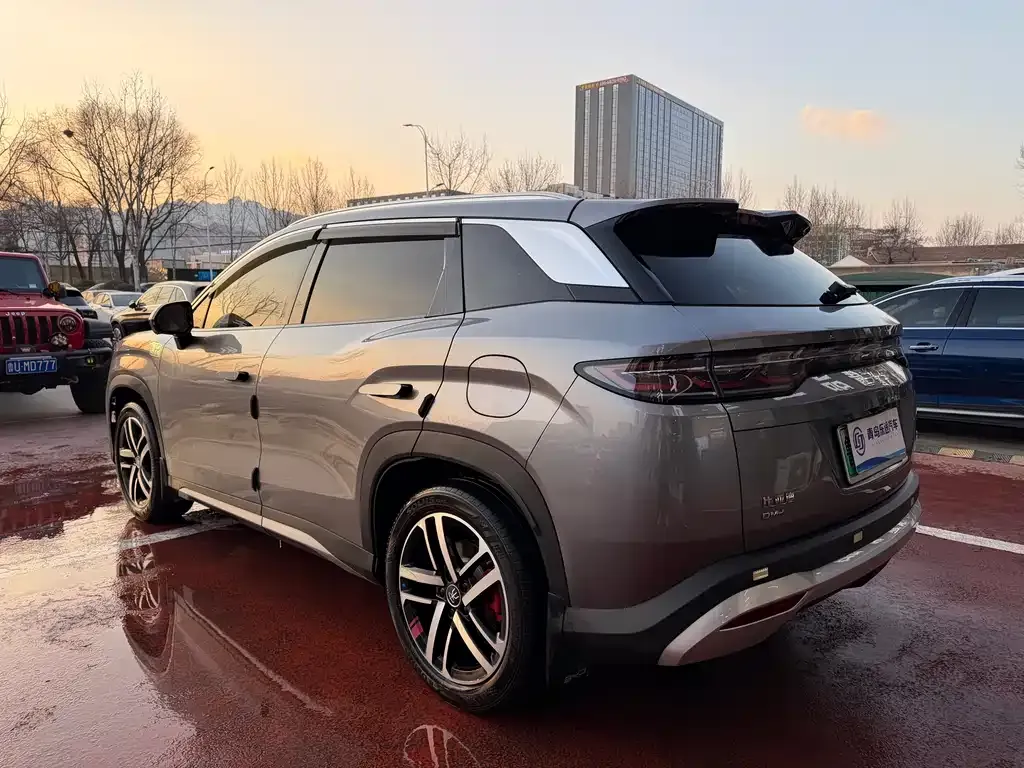 BYD L DM-i — фото 6