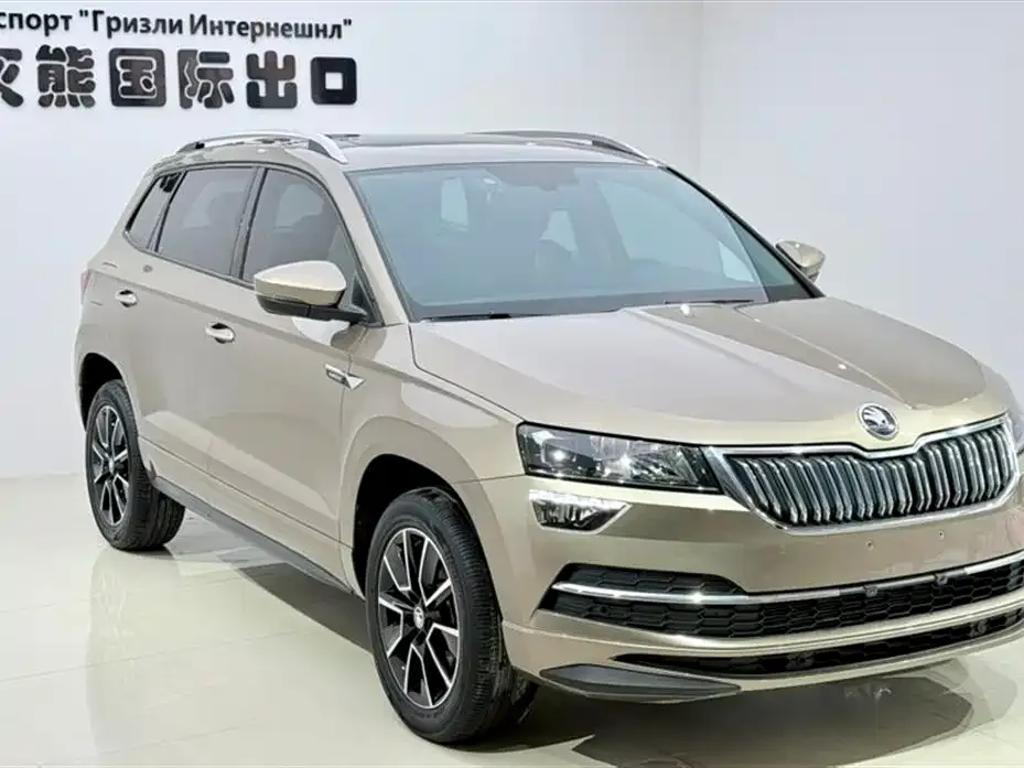 Skoda Karoq — фото 7