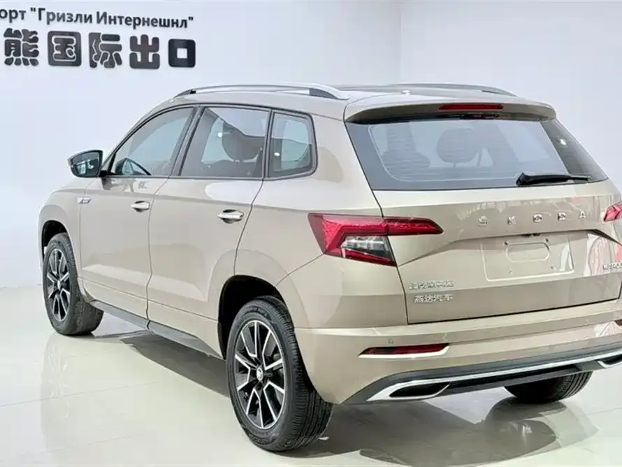 Skoda Karoq — фото 6