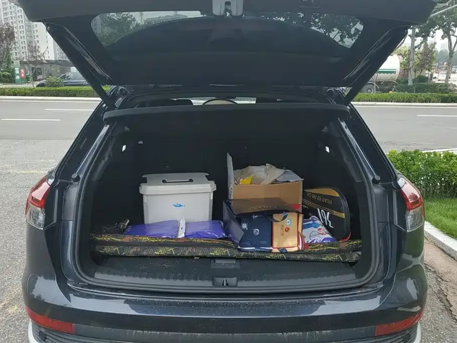 Audi Q4 e-tron 2024 из CN, фото 7