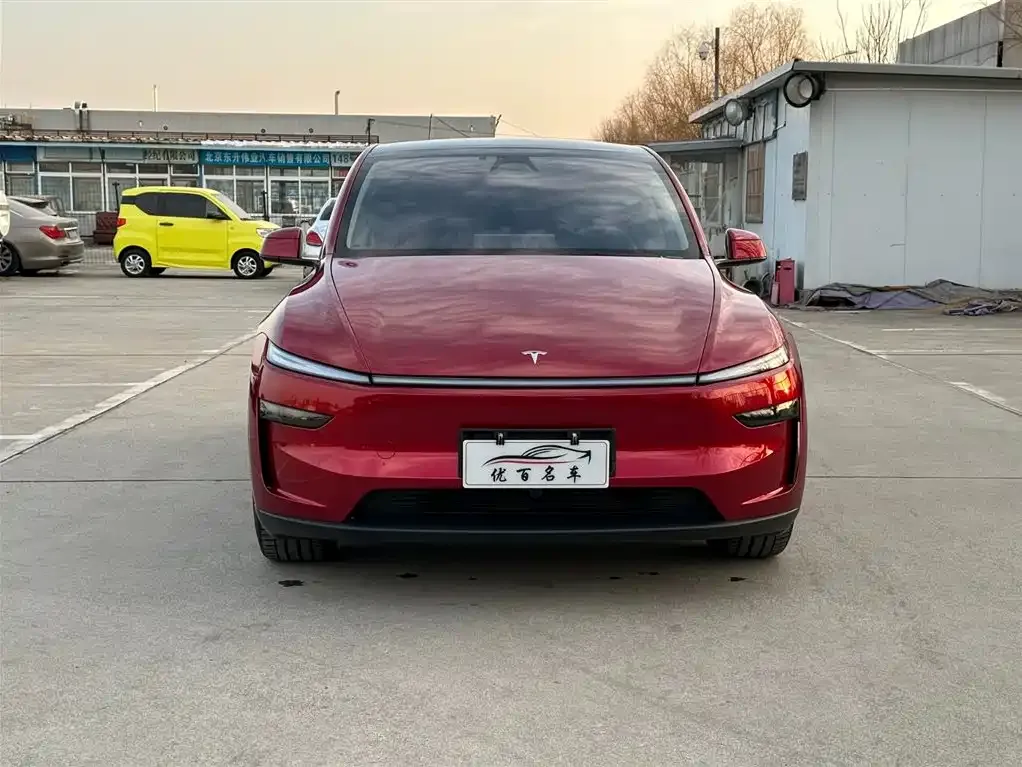 Tesla Model Y — фото 2