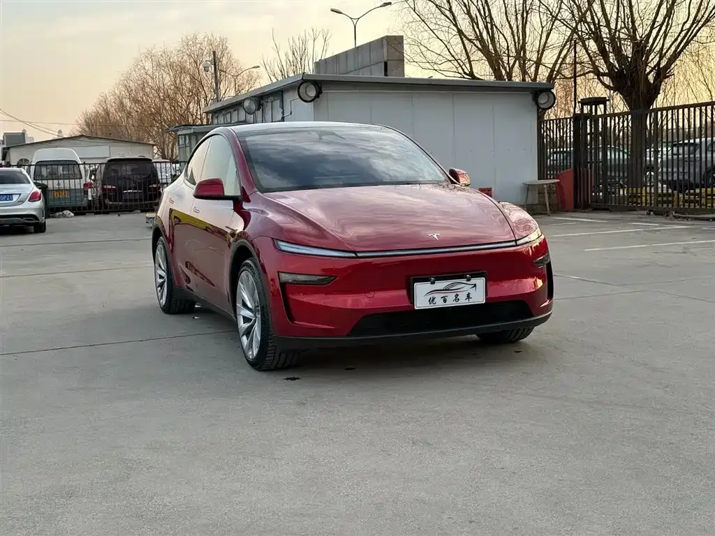Tesla Model Y — фото 10