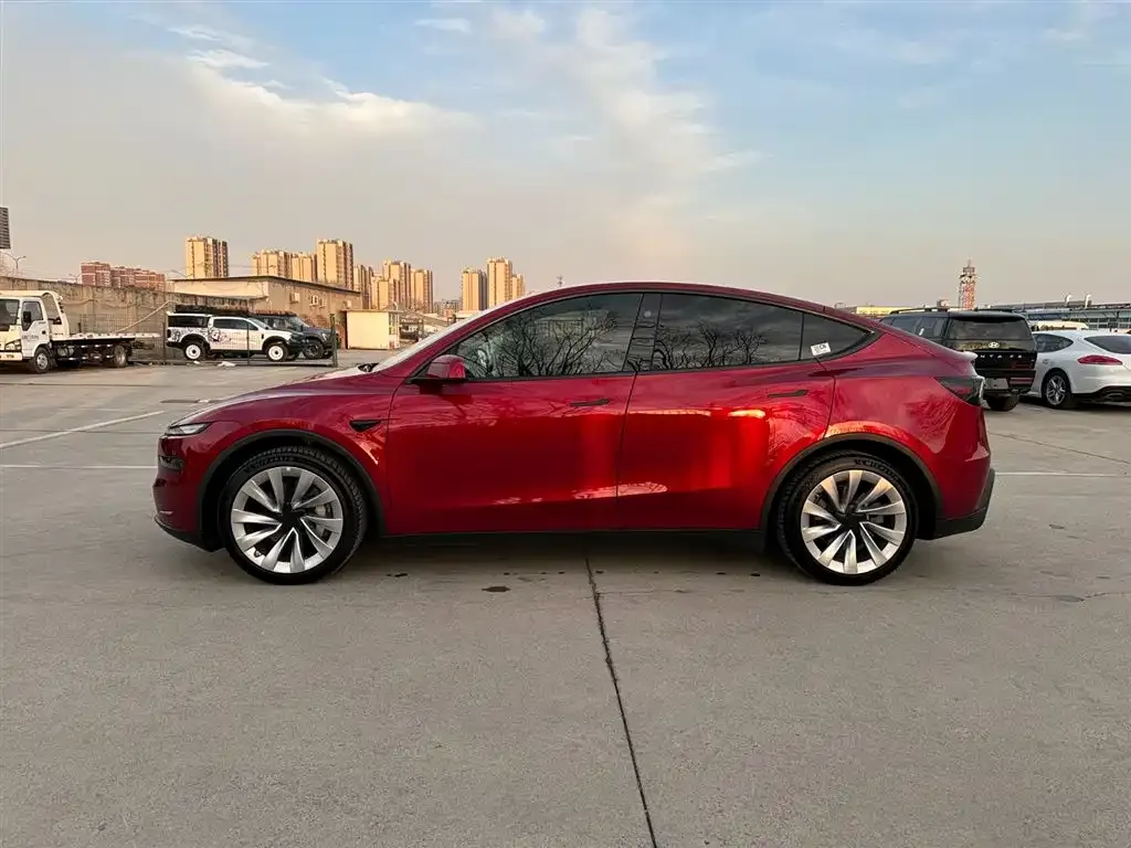 Tesla Model Y — фото 4