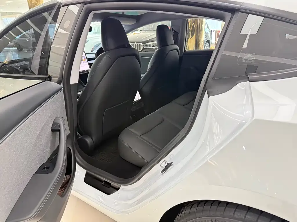 Tesla Model 3 2025 из CN, фото 6