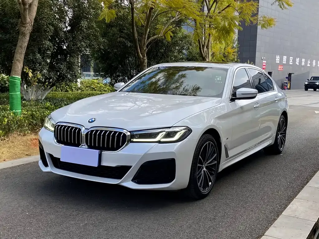 BMW 5 Series 2021 из CN, фото 1
