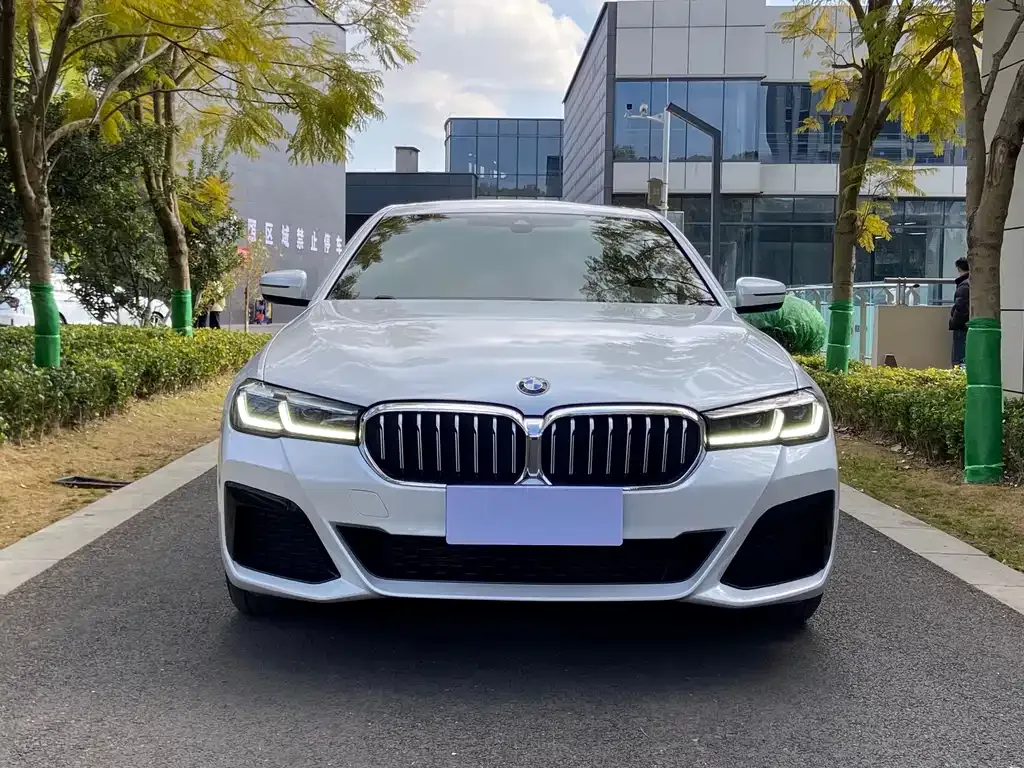 BMW 5 Series 2021 из CN, фото 5