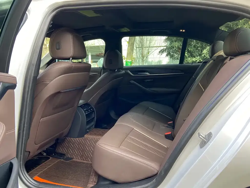BMW 5 Series 2021 из CN, фото 6