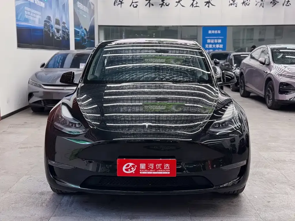 Tesla Model Y — фото 10