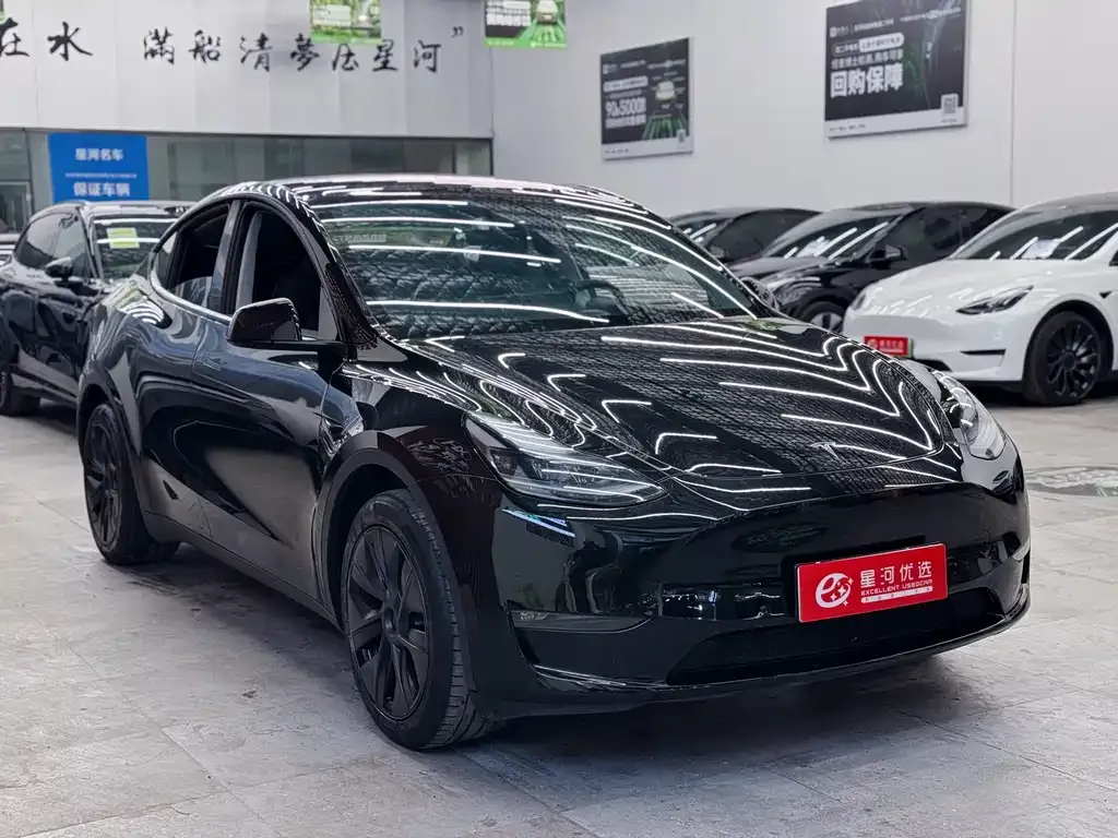 Tesla Model Y — фото 3